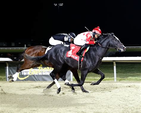 Derby25 .